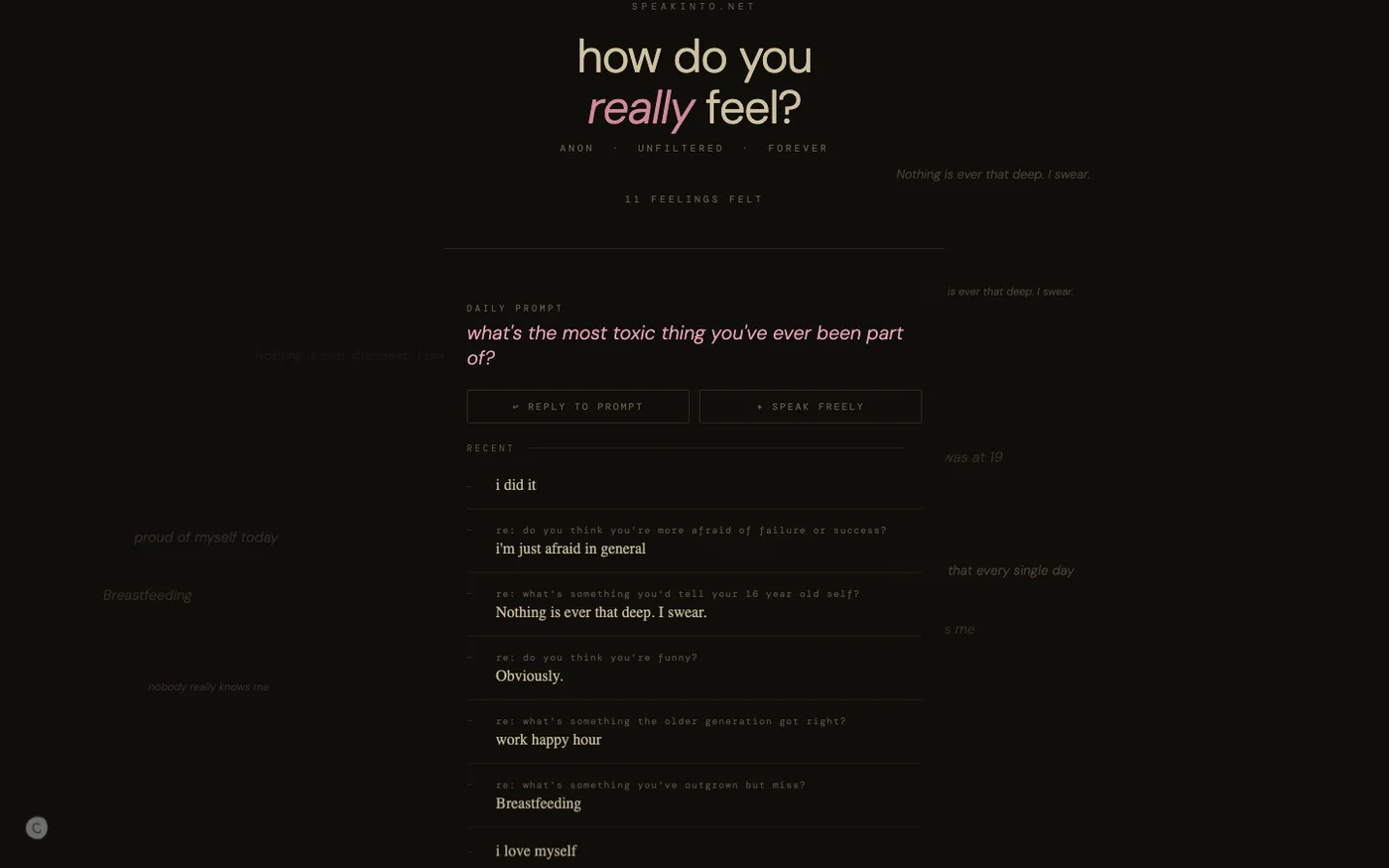 speakinto.net homepage